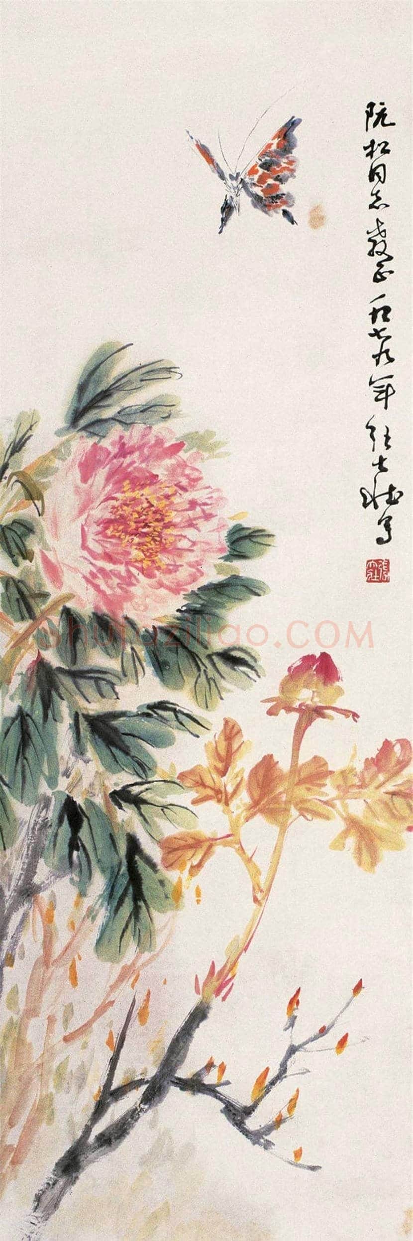 张大壮花鸟画作品欣赏 | 书画文摘