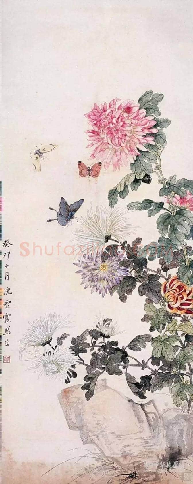近现代名家画菊48幅！（值得收藏） | 书画知识