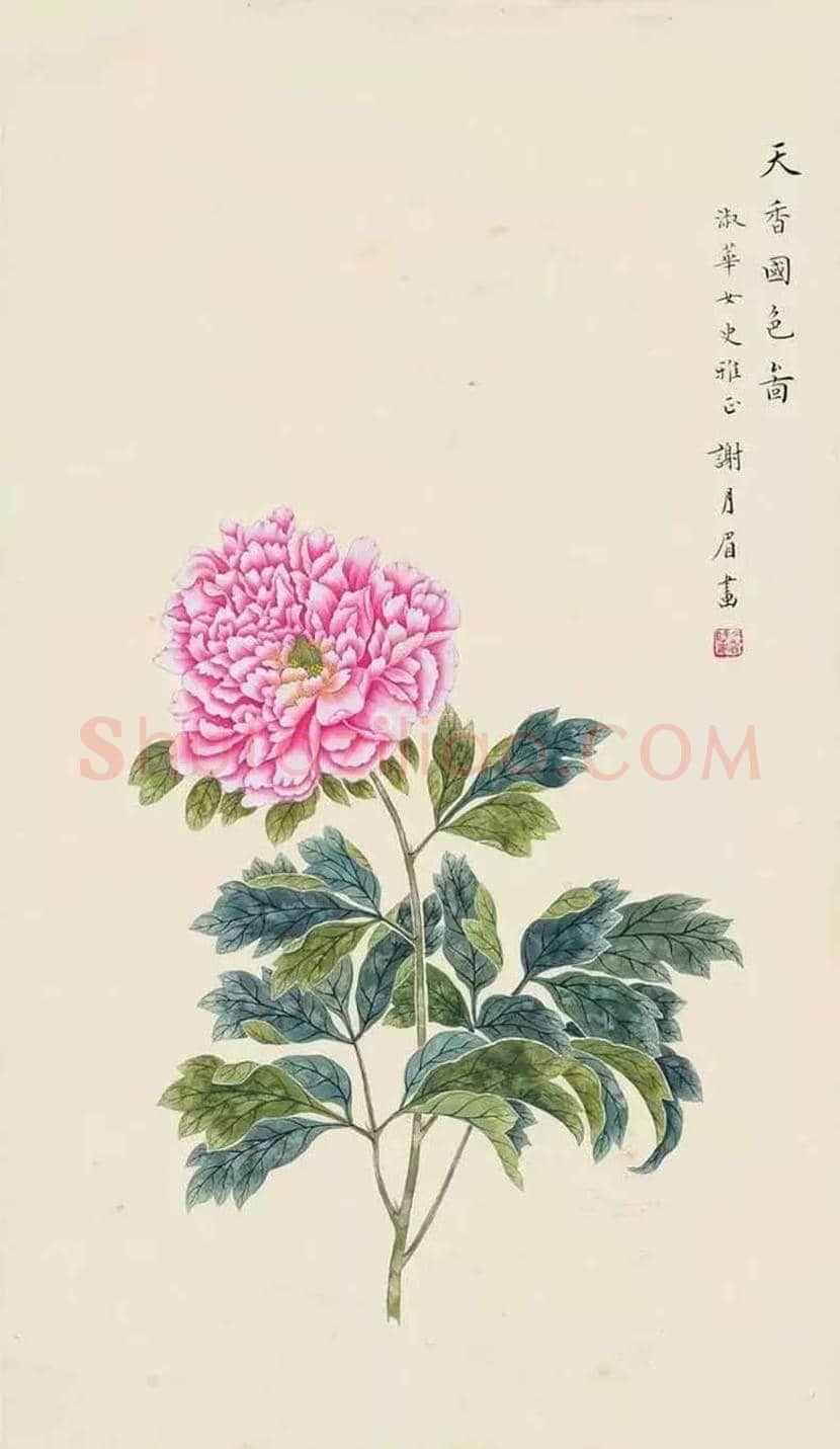 谢月眉作品欣赏 | 书画百科