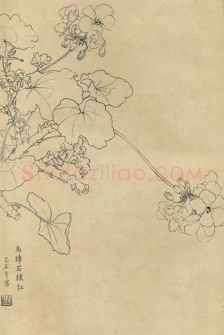 百花图谱大全【白描画】 | 书画资料