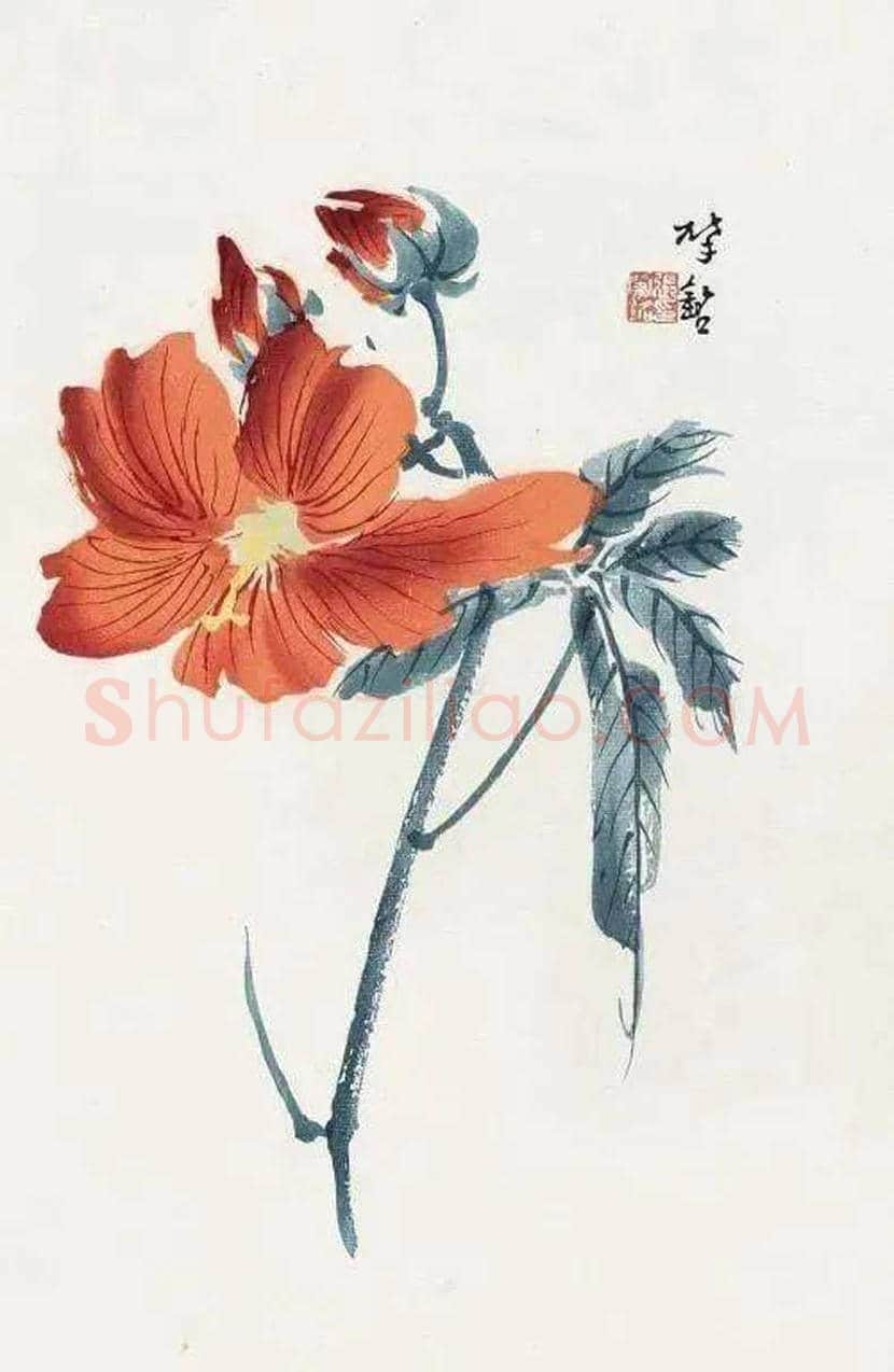 张肇铭花鸟画欣赏 | 书画学堂