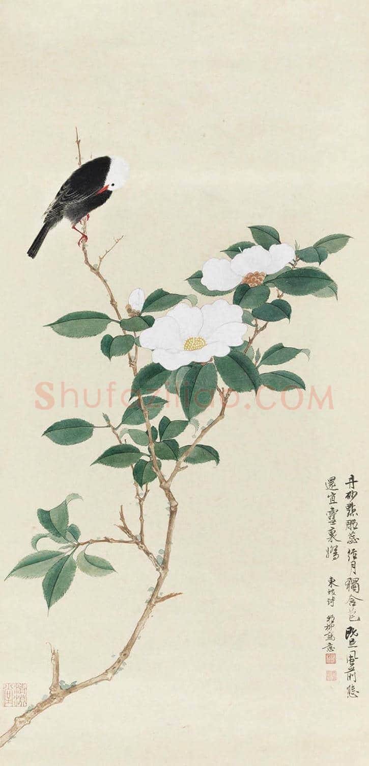 谢稚柳《茶花山禽》赏析 | 书画学堂