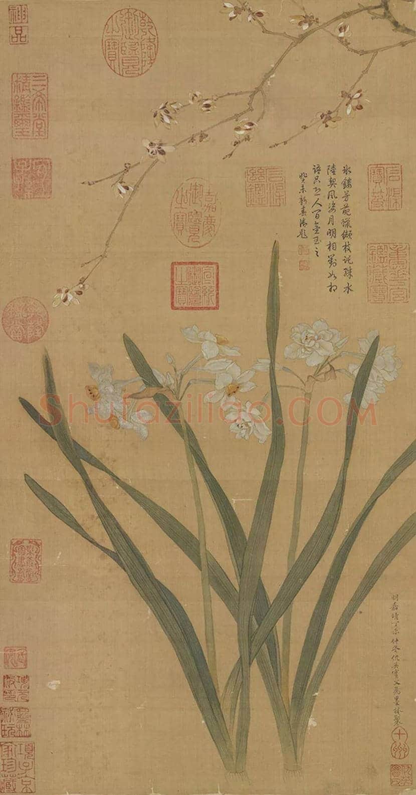 明代水仙画：淋漓洒脱的写意 | 书画科普