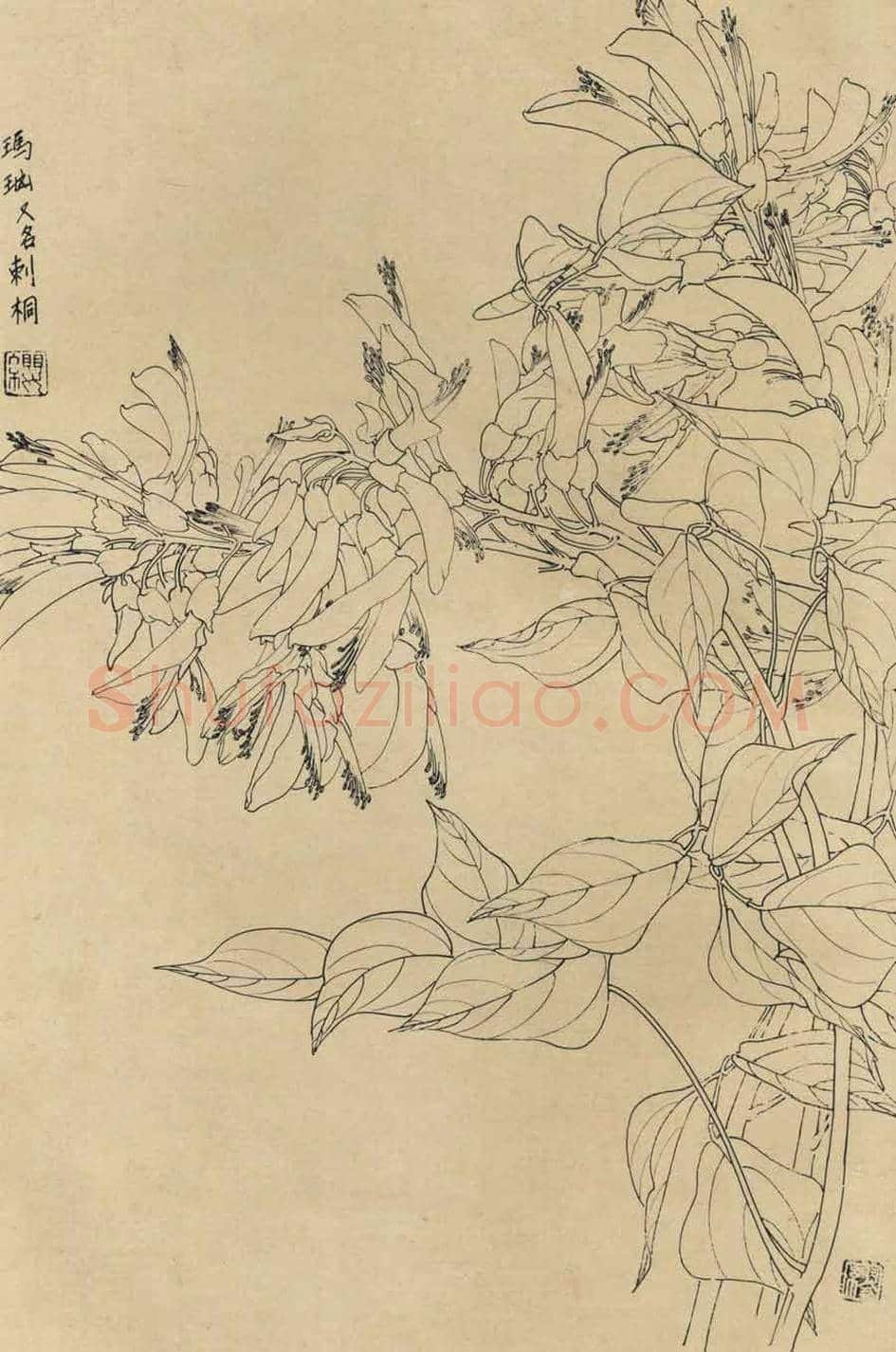 百花图谱大全【白描画】 | 书画资料