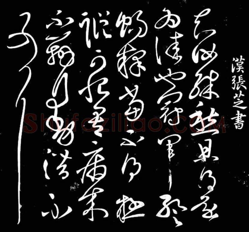 书法史上第一位巨人:张芝书法欣赏 | 书画科普