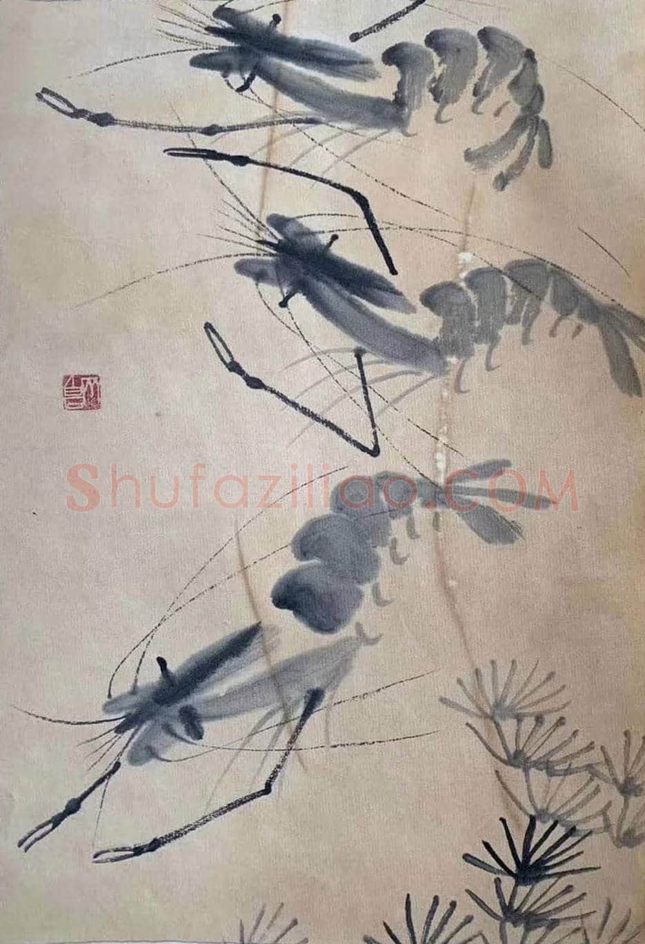 齐白石册页《虾戏图》,经典力作! | 国画欣赏
