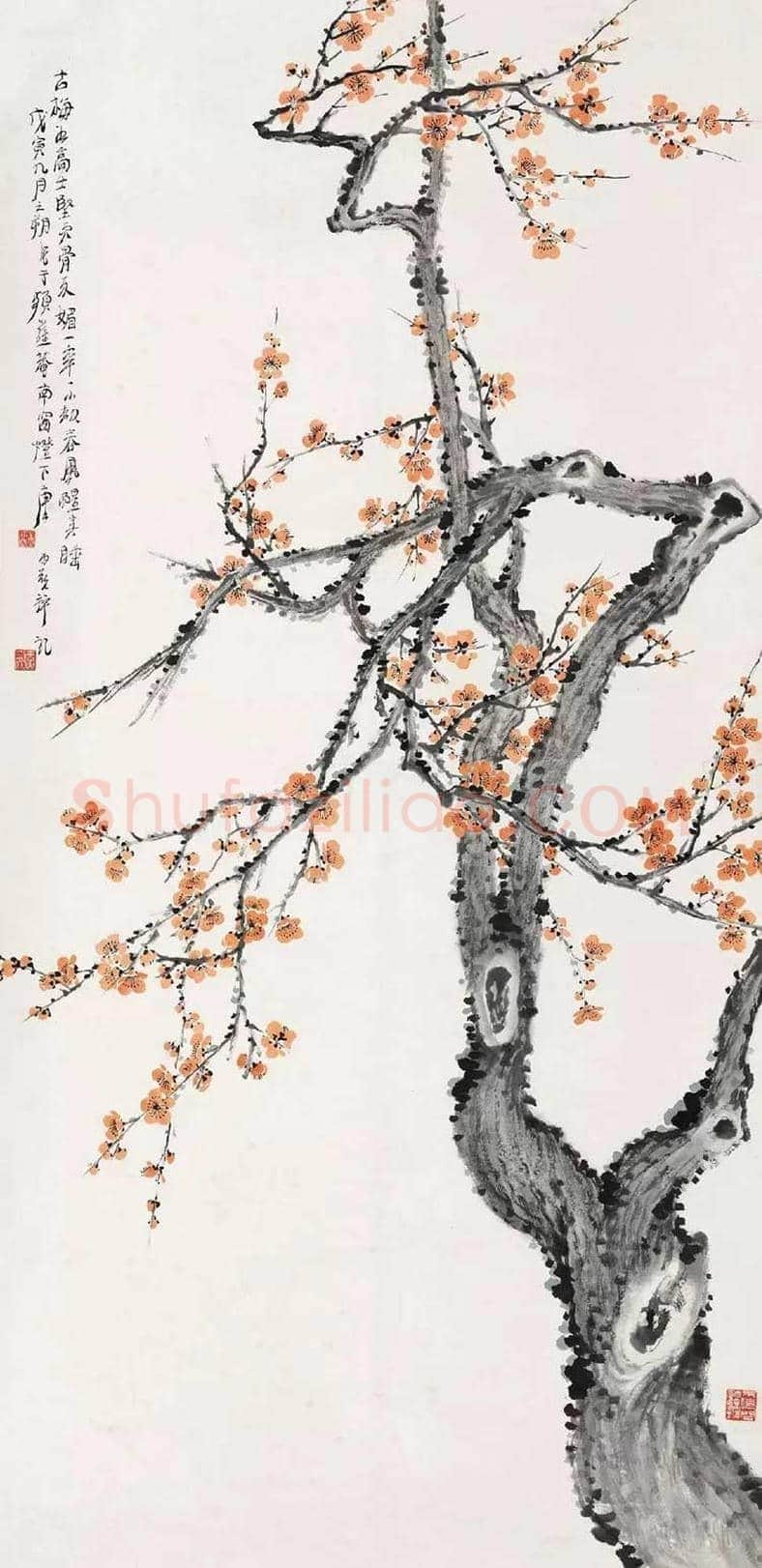 唐云花鸟画作品欣赏 | 书画学堂