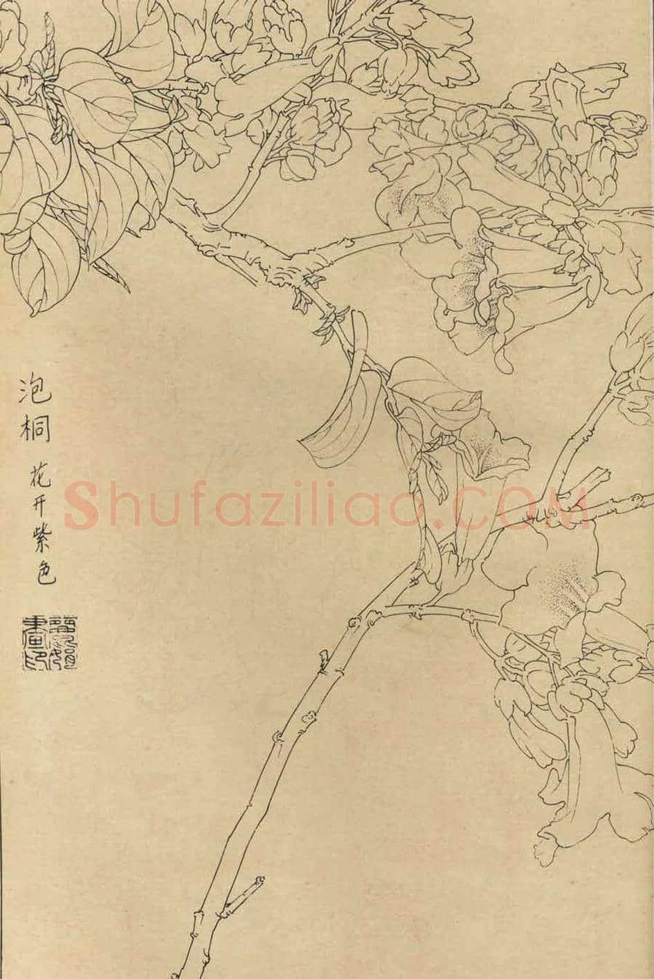 百花图谱大全【白描画】 | 书画资料