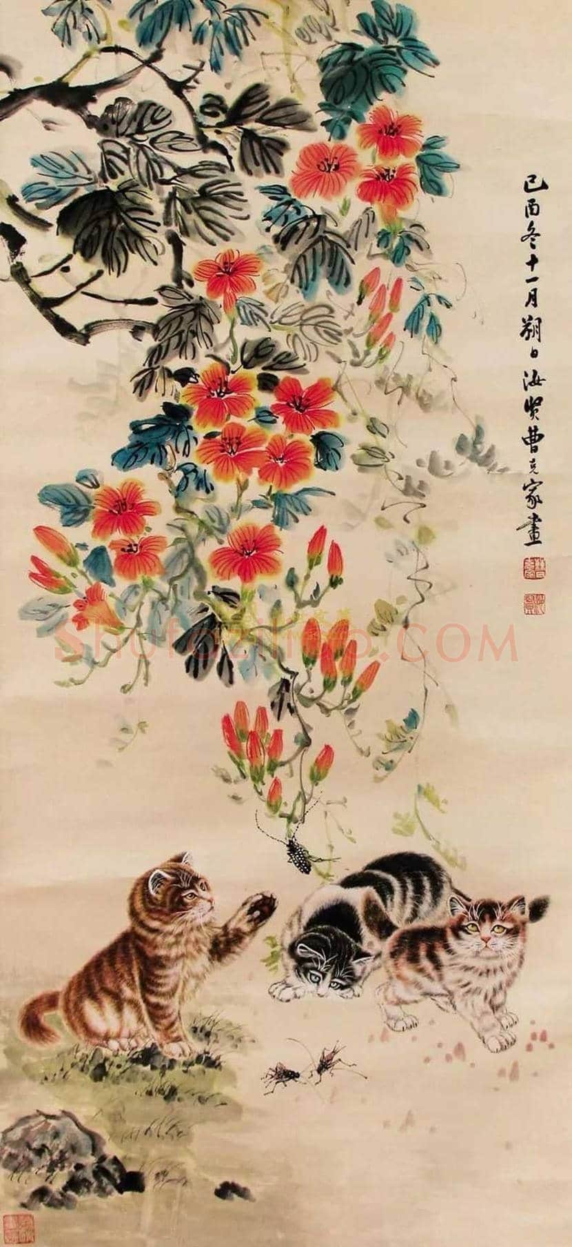 曹克家画猫作品欣赏 | 书画学堂