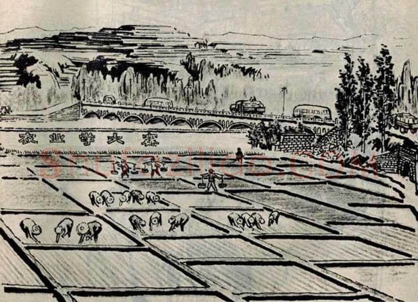 中央五七艺术大学美术学院：山西大寨速写 | 书画常识