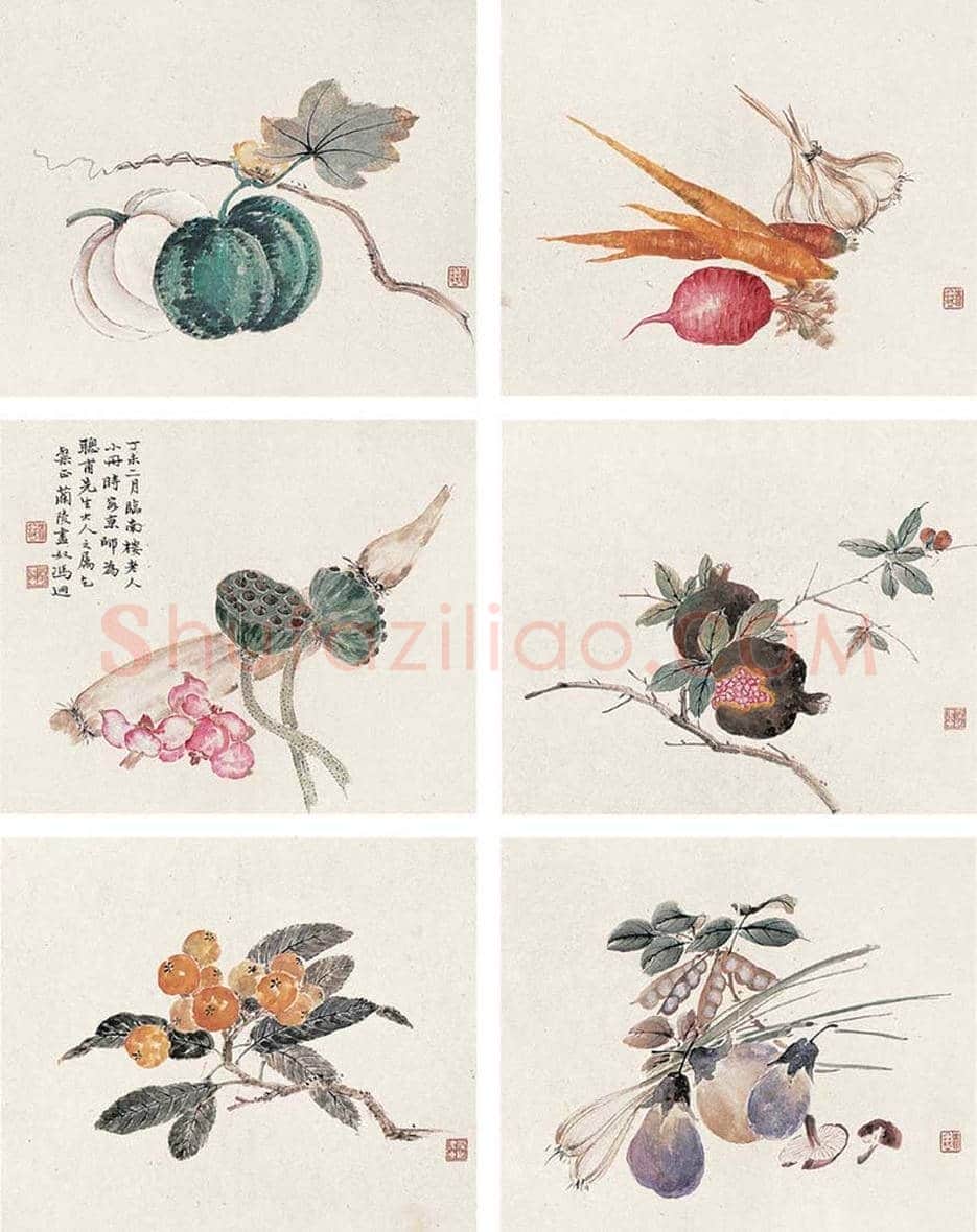 冯超然花鸟作品欣赏 | 书画科普
