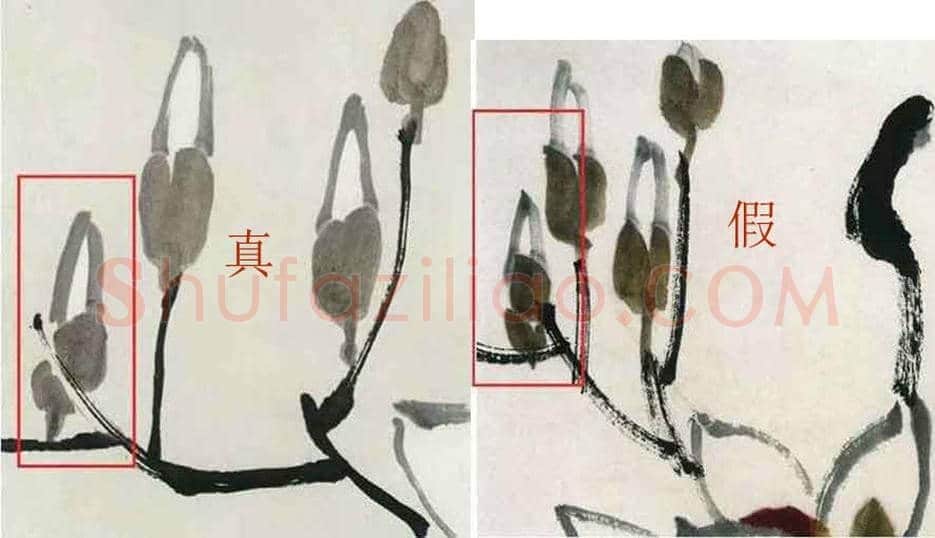 齐白石《玉兰蜜蜂》真伪鉴别 | 书画科普