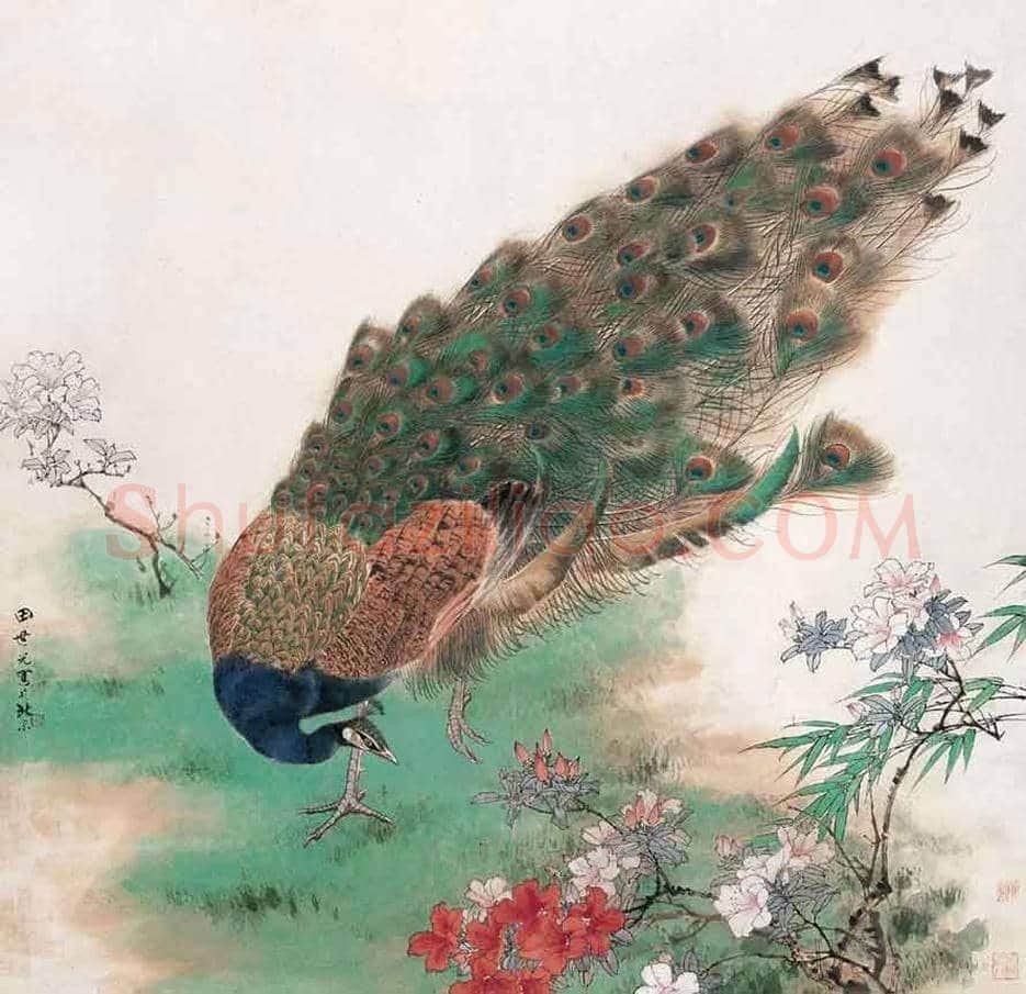 田世光笔下的孔雀，栩栩如生，仙气十足！ | 书画文摘