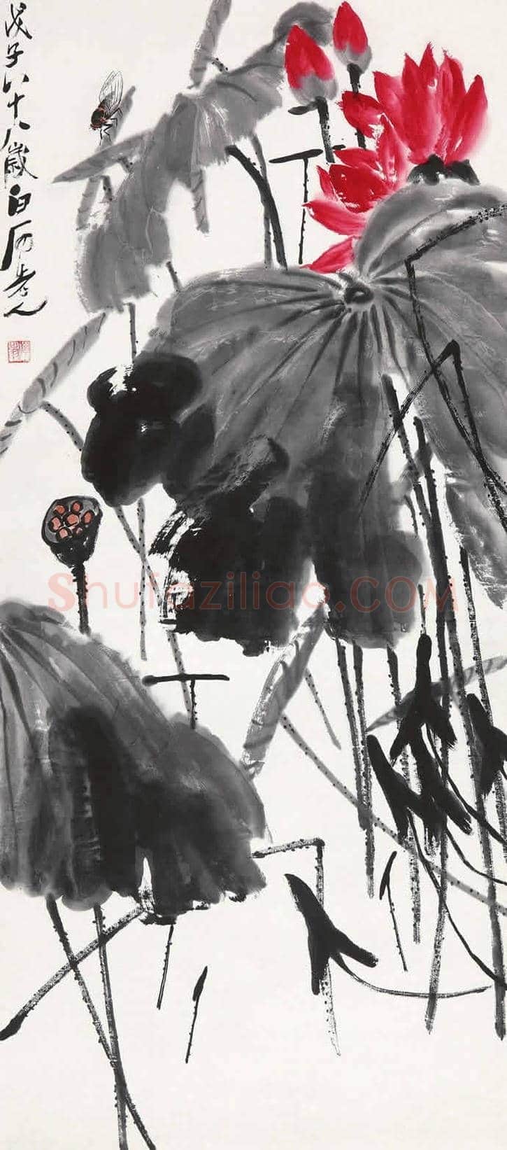 齐白石张大千到底谁的荷花作品贵? | 书画资料