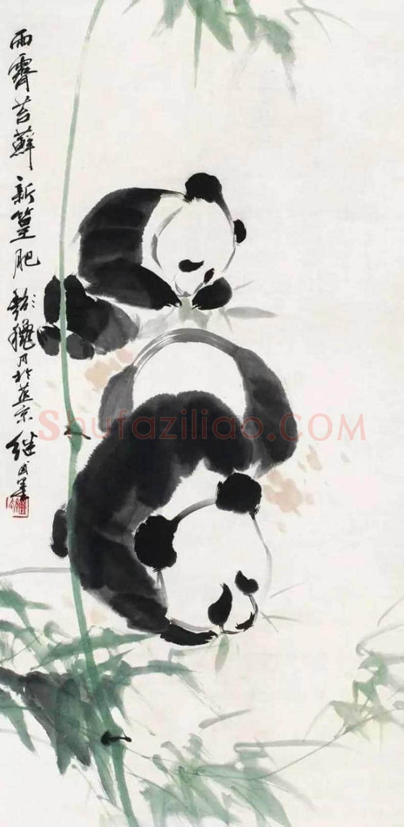 刘继卣笔下的国宝熊猫 | 书画讲解