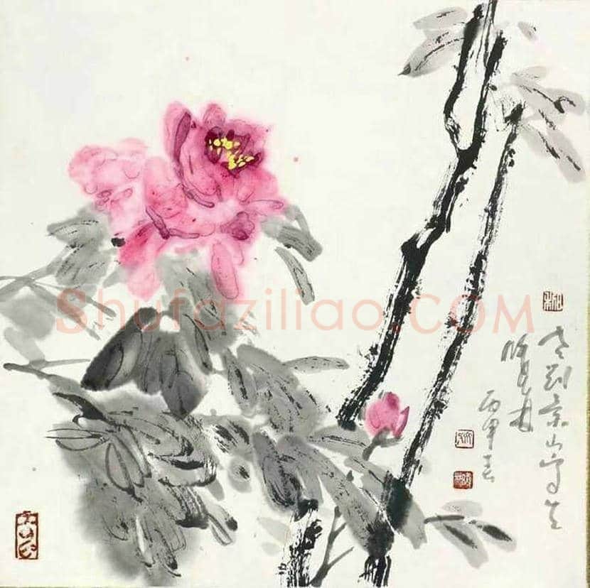 张锡武牡丹作品欣赏 | 书画资料