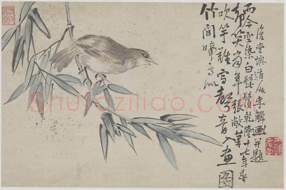 李鱓花鸟册页欣赏 | 书画讲解