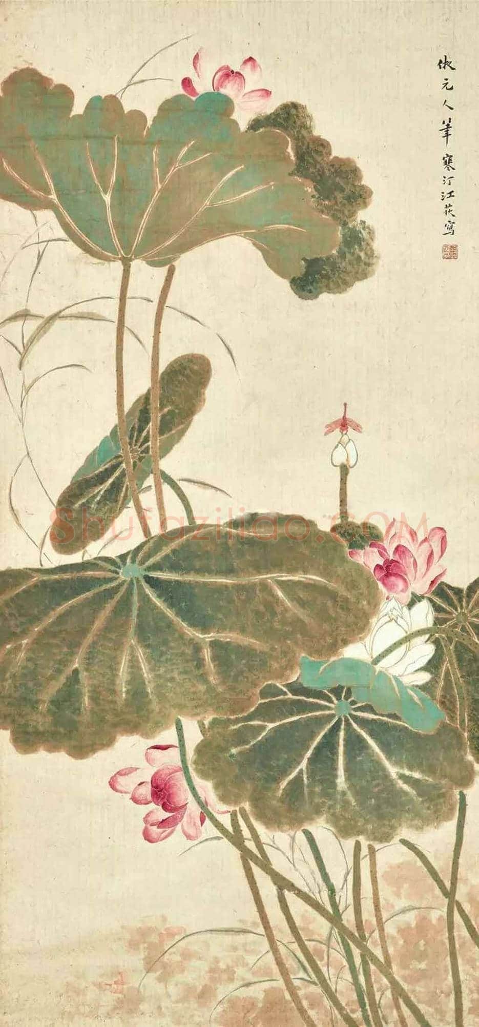 江寒汀荷花作品欣赏 | 书画讲解