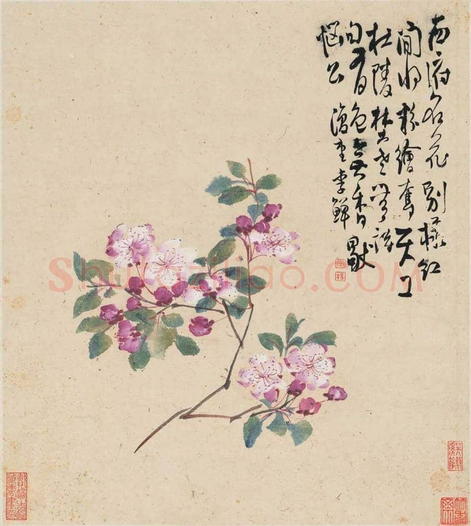 李鱓花鸟册页欣赏 | 书画讲解
