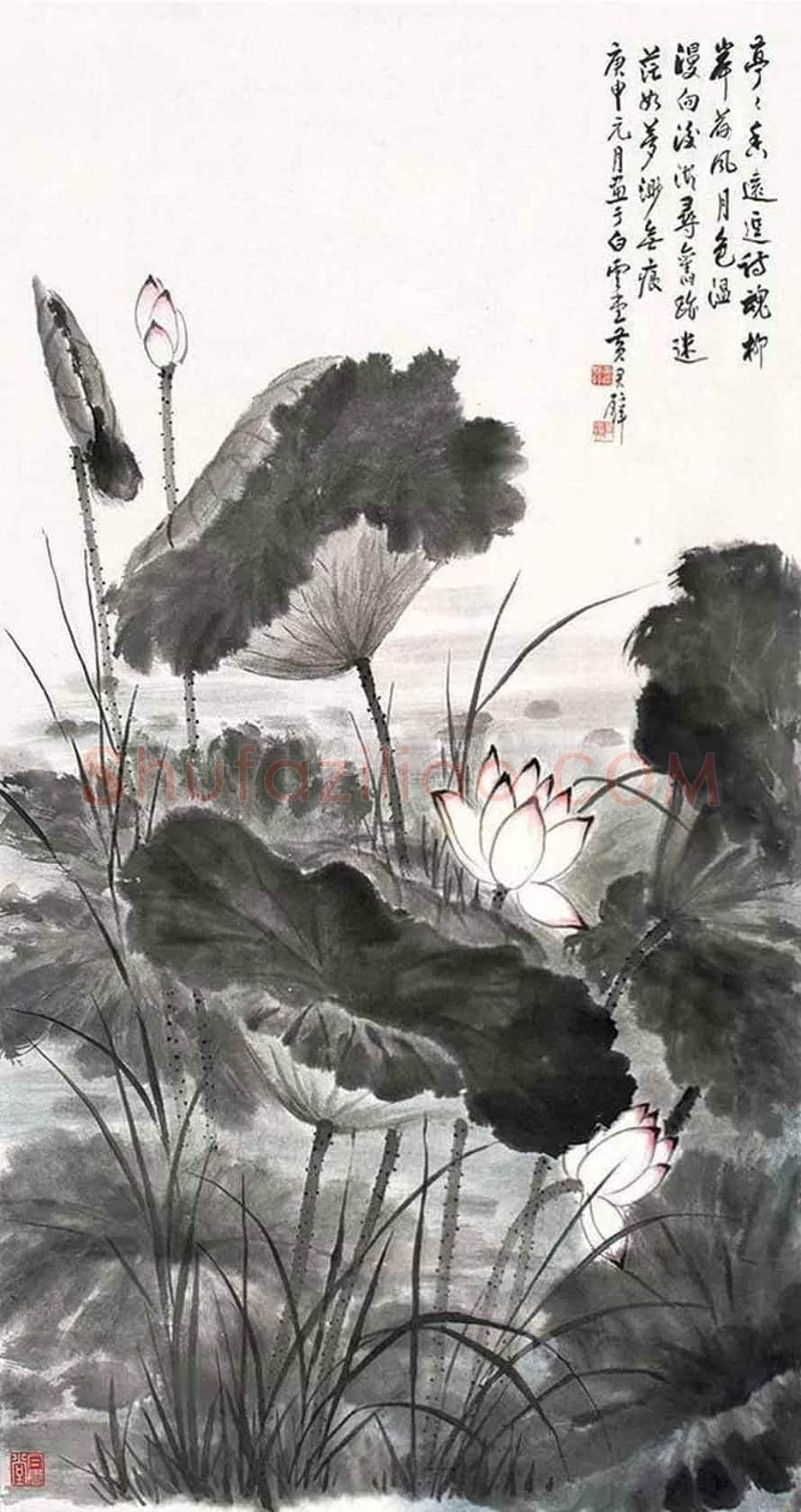 黄君璧荷花作品欣赏 | 书画知识