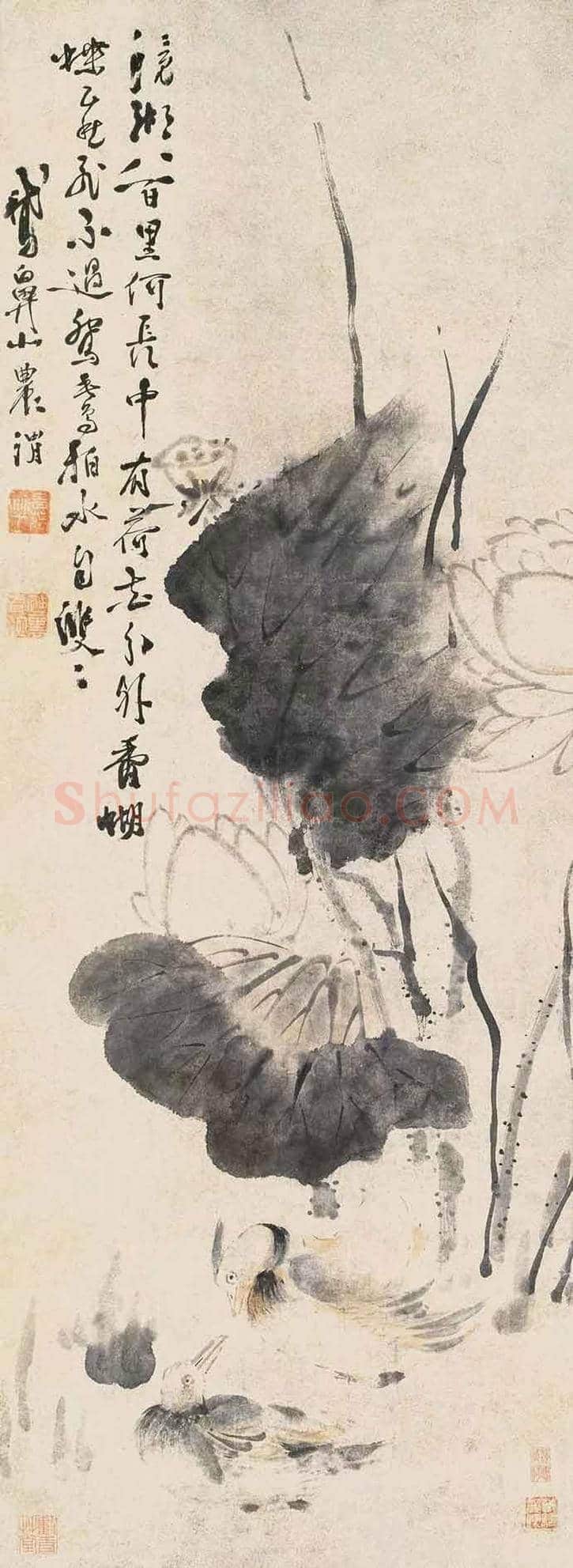 徐渭墨荷,这才叫大写意 | 书画知识