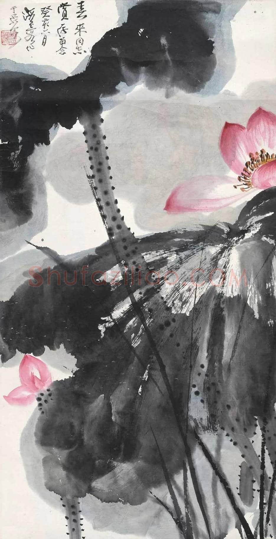 何海霞花鸟作品欣赏 | 书画知识