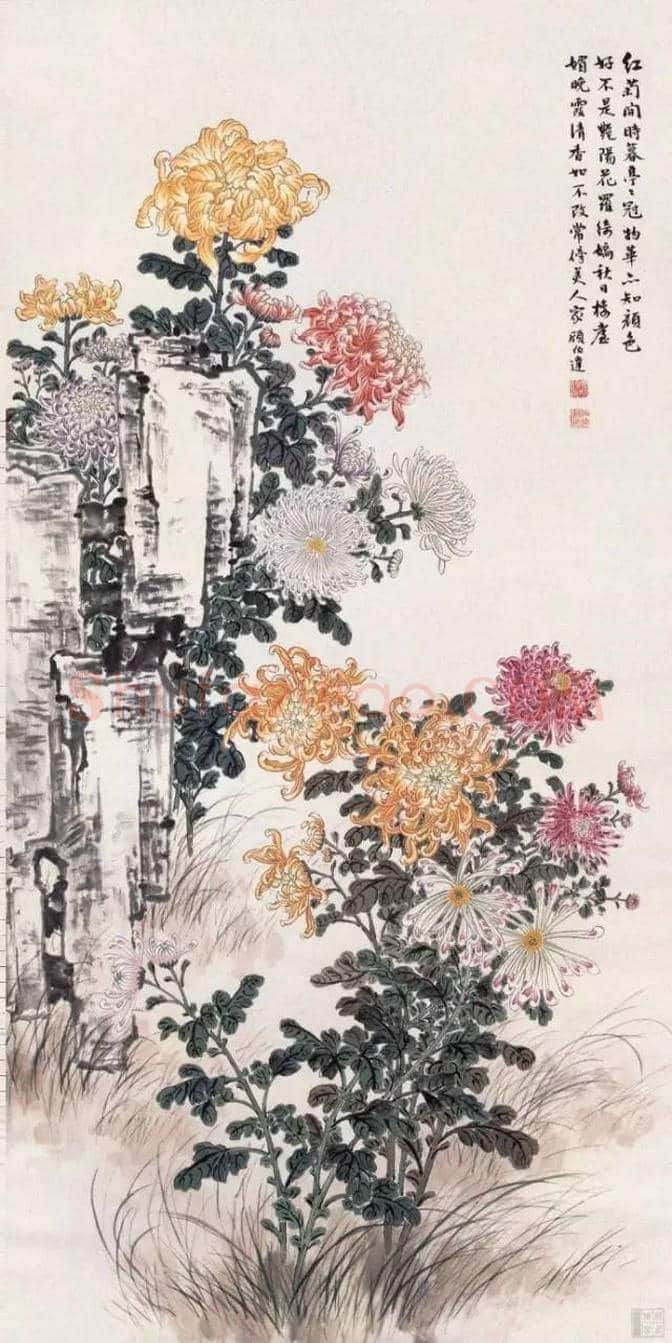 近现代名家画菊48幅！（值得收藏） | 书画知识