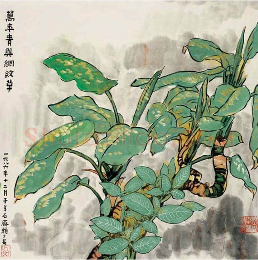 赖少其花鸟画作品欣赏 | 书画学堂