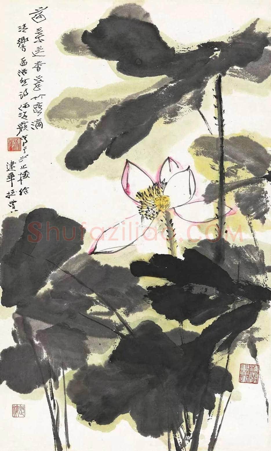 何海霞花鸟作品欣赏 | 书画知识