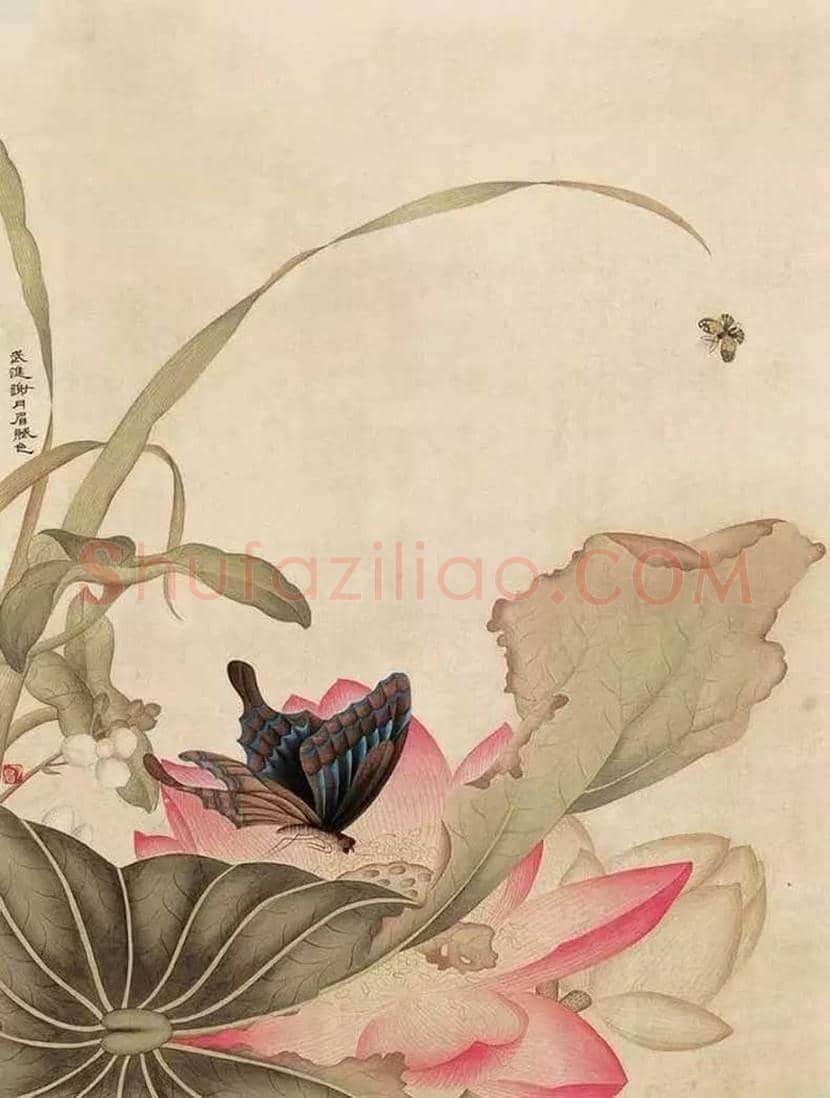 谢月眉作品欣赏 | 书画百科