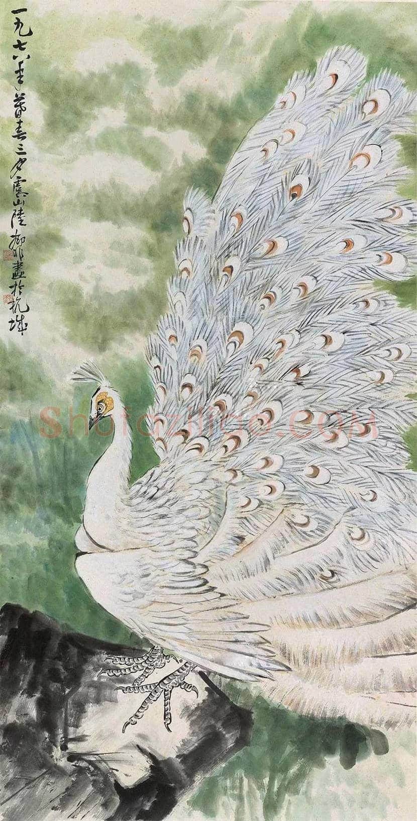 陆抑非孔雀作品欣赏 | 书画常识