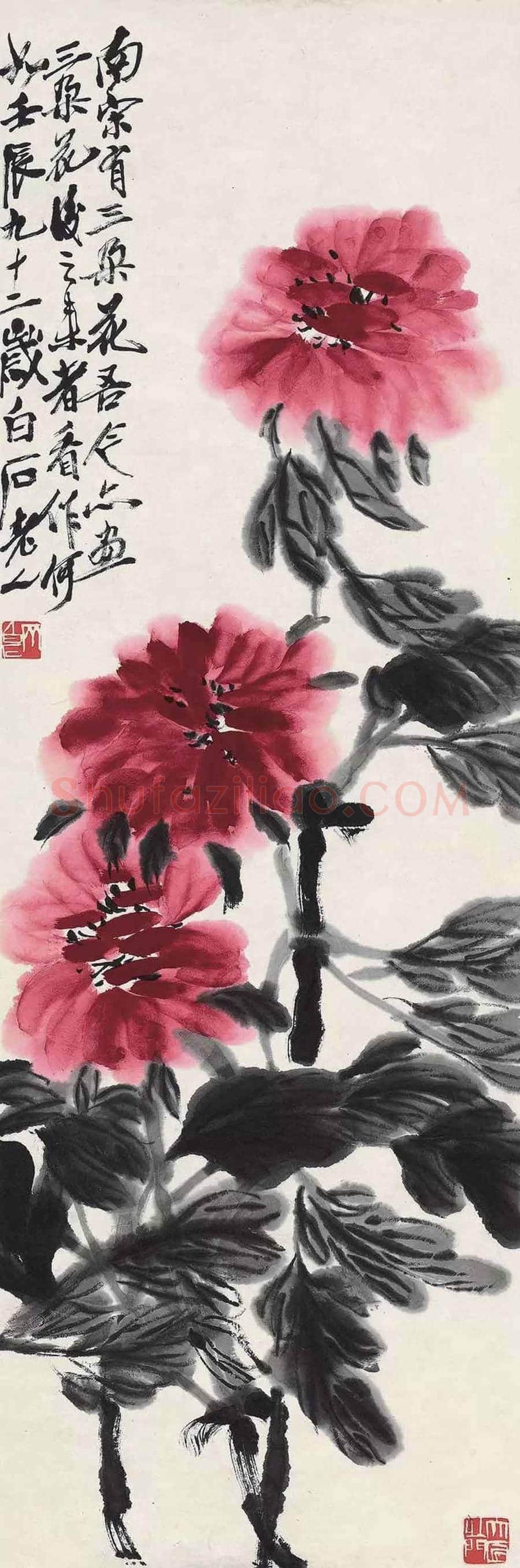 名家笔下的牡丹花【高清大图】 | 书画讲解