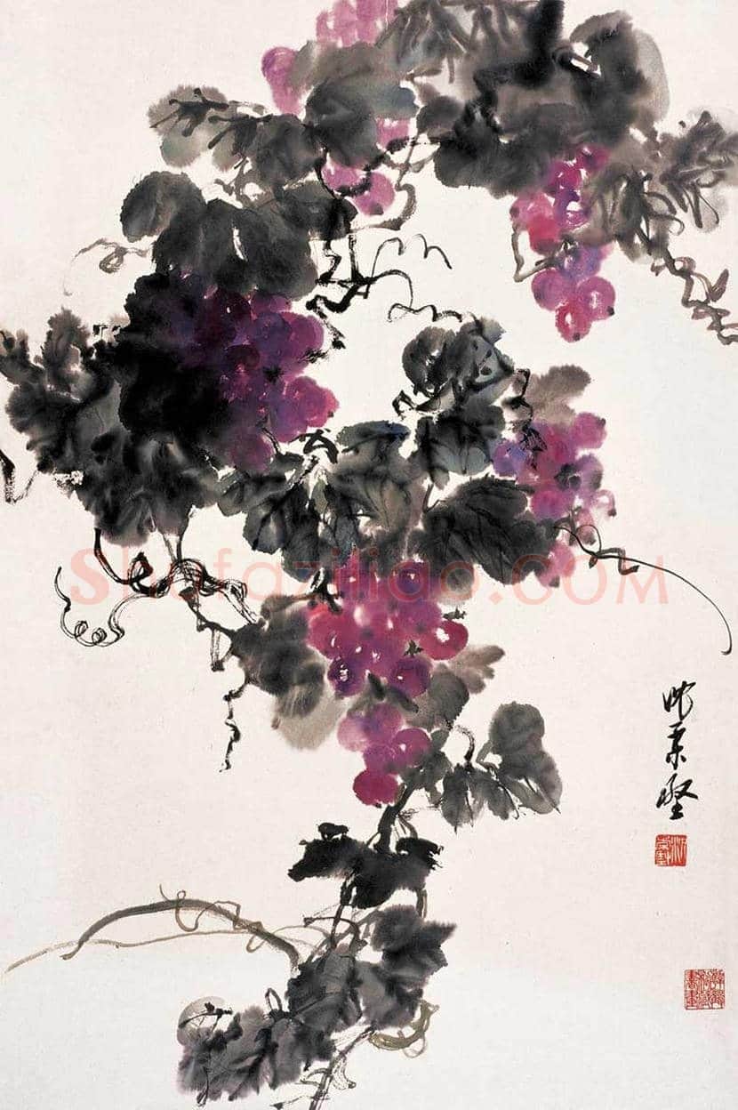 沈柔坚花鸟画作品欣赏 | 书画科普