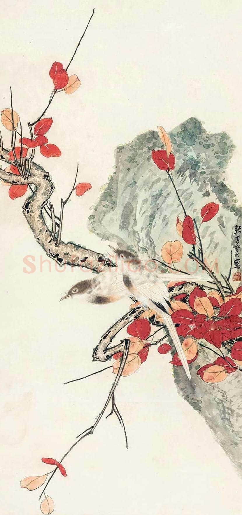 张其翼花鸟画作品欣赏 | 书画科普