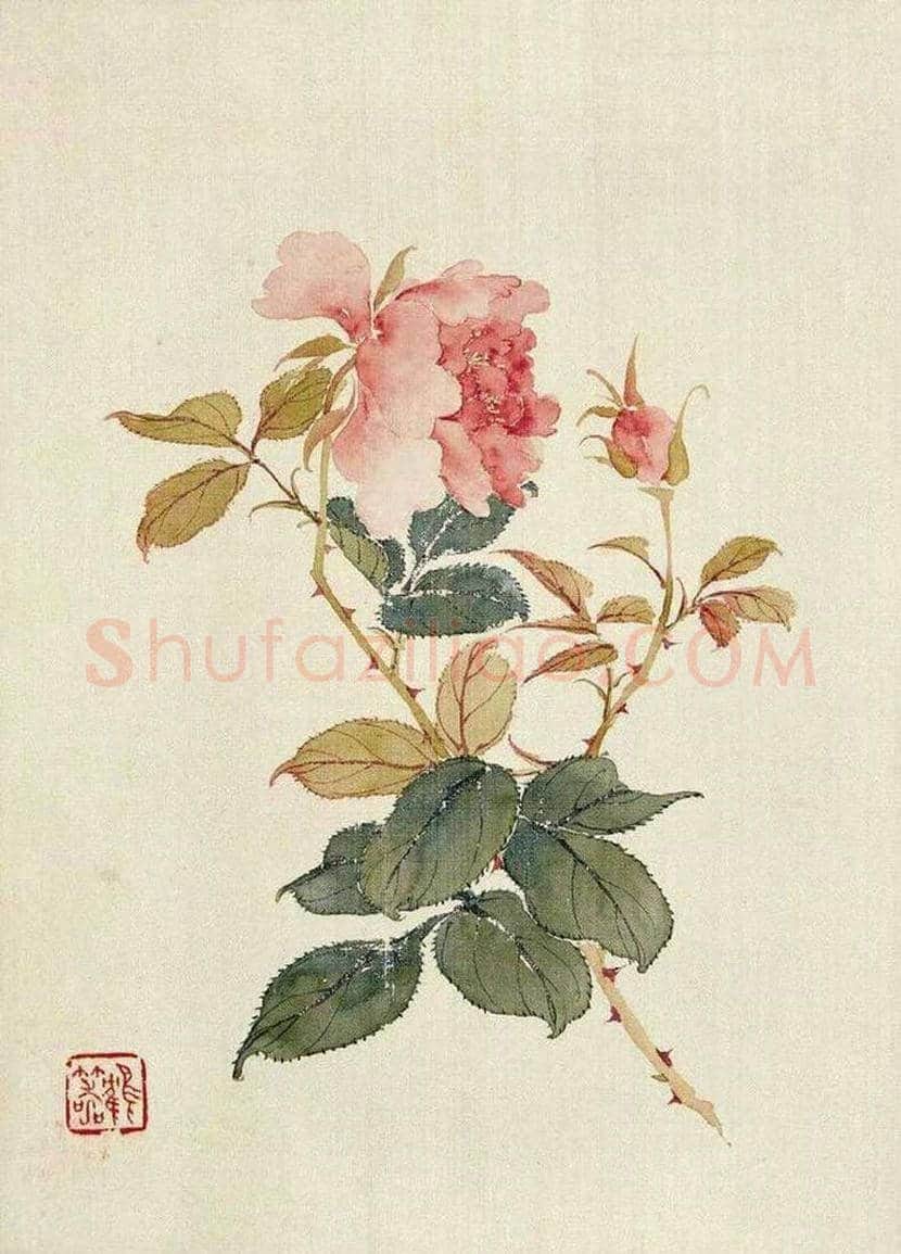 李鹤筹花鸟画作品欣赏 | 书画文摘