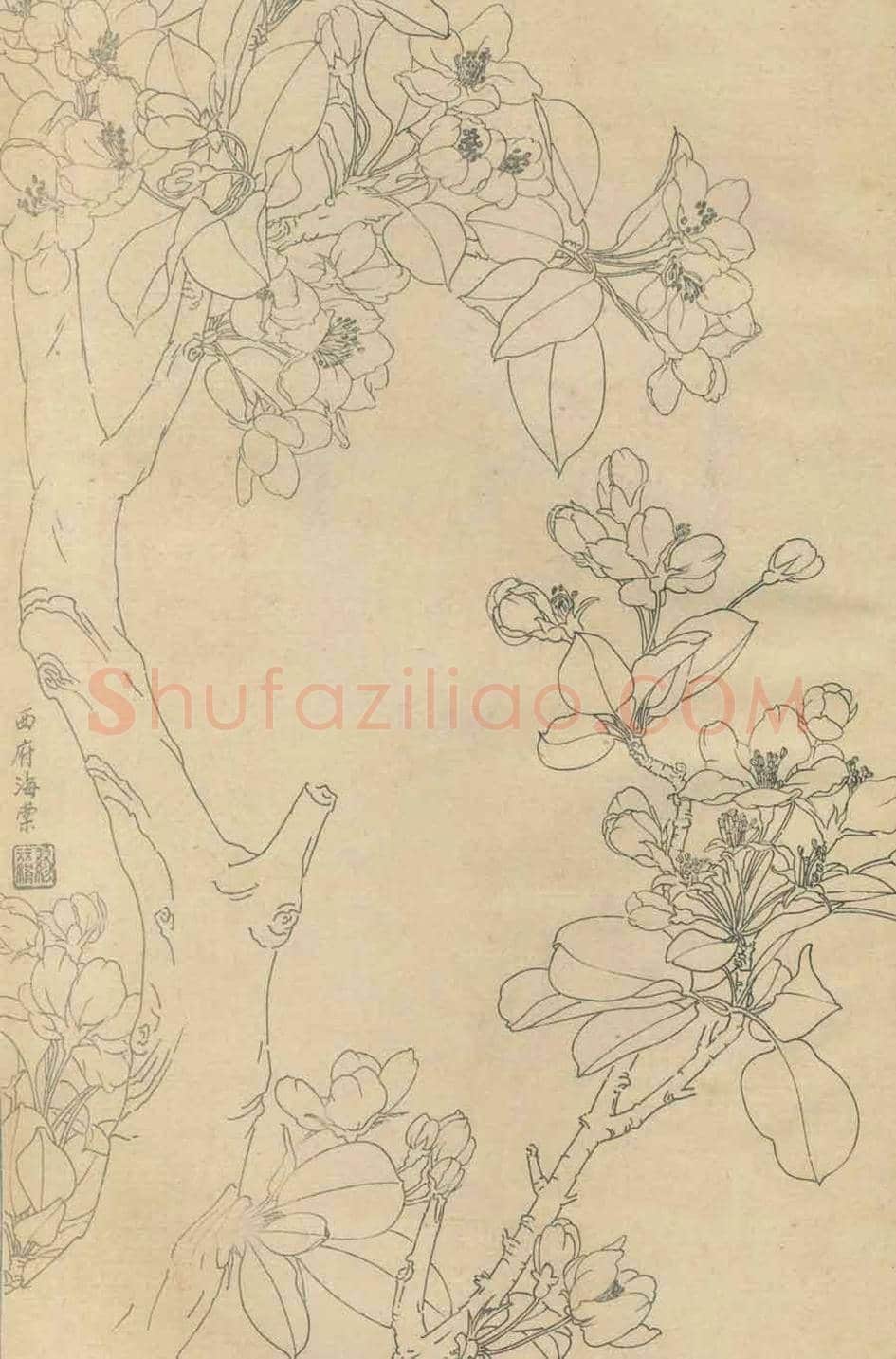 百花图谱大全【白描画】 | 书画资料