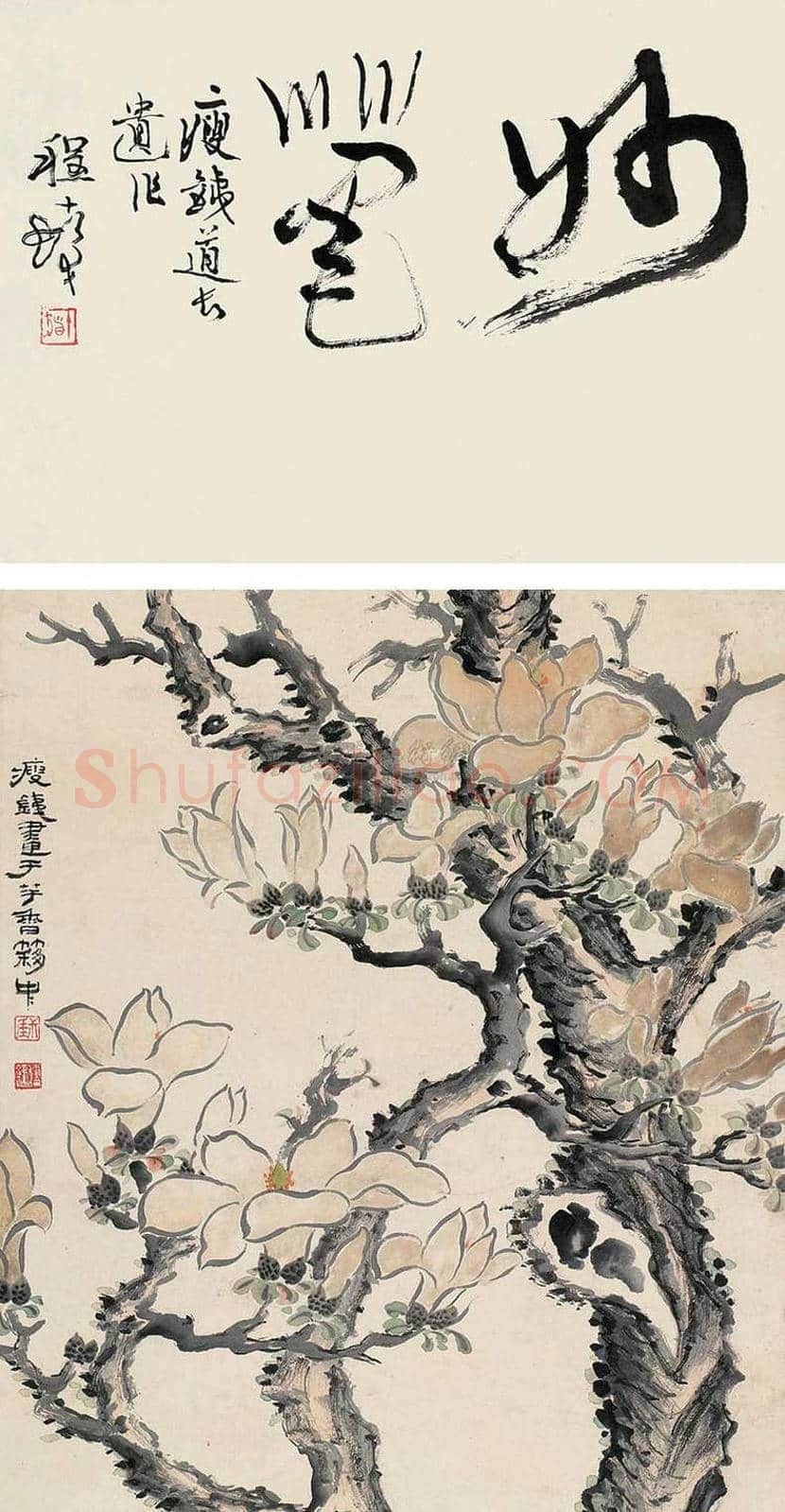 钱瘦铁花鸟画作品欣赏 | 书画讲解