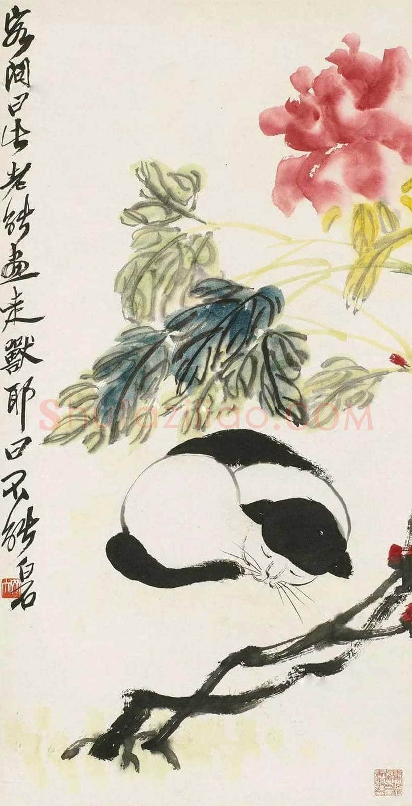 名家画猫作品欣赏 | 书画文摘
