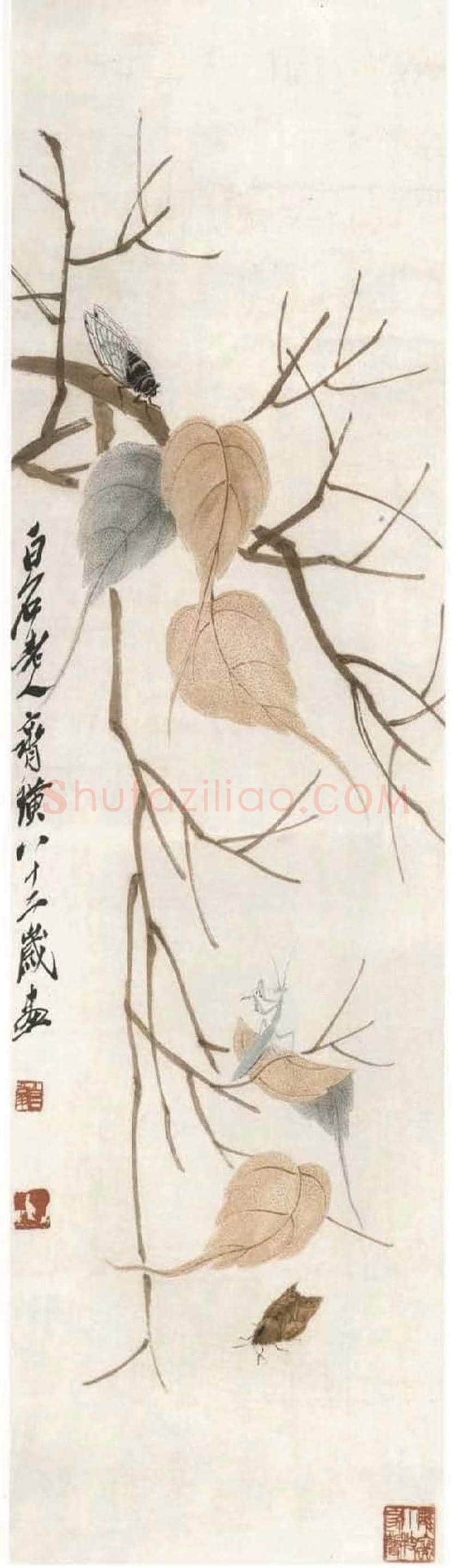 齐白石《贝叶草虫》真假辨别 | 书画文摘