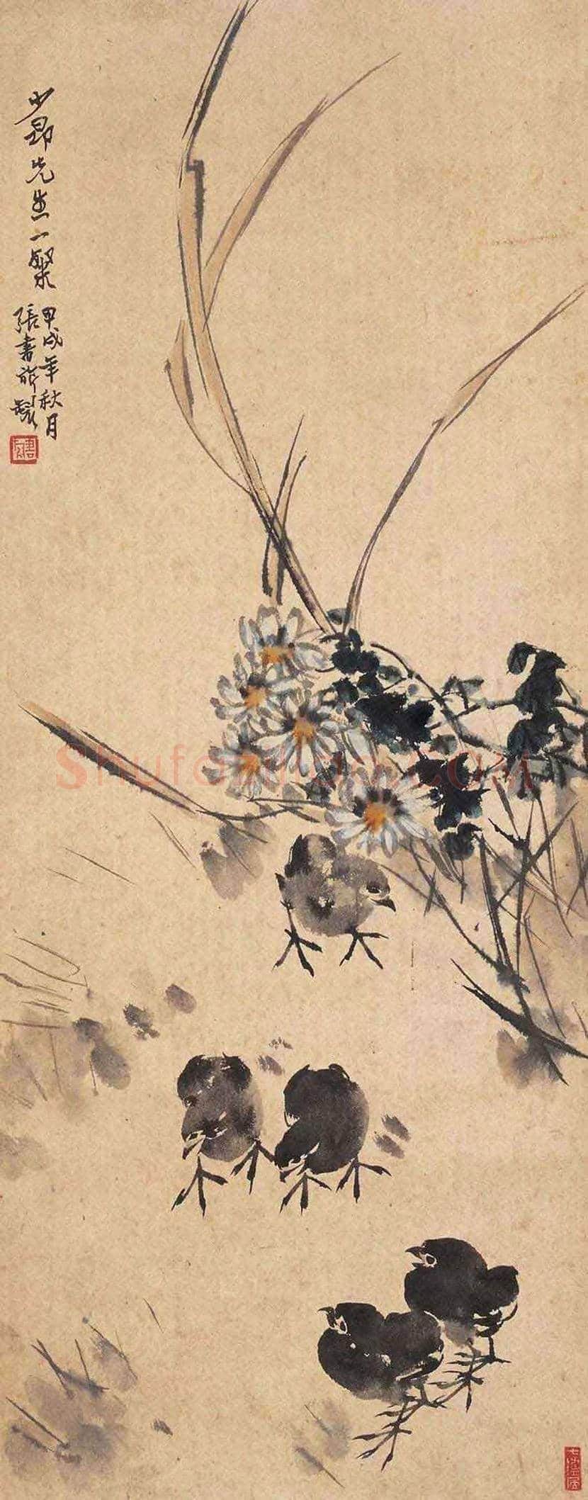 张书旂花鸟画作品欣赏 | 书画讲解