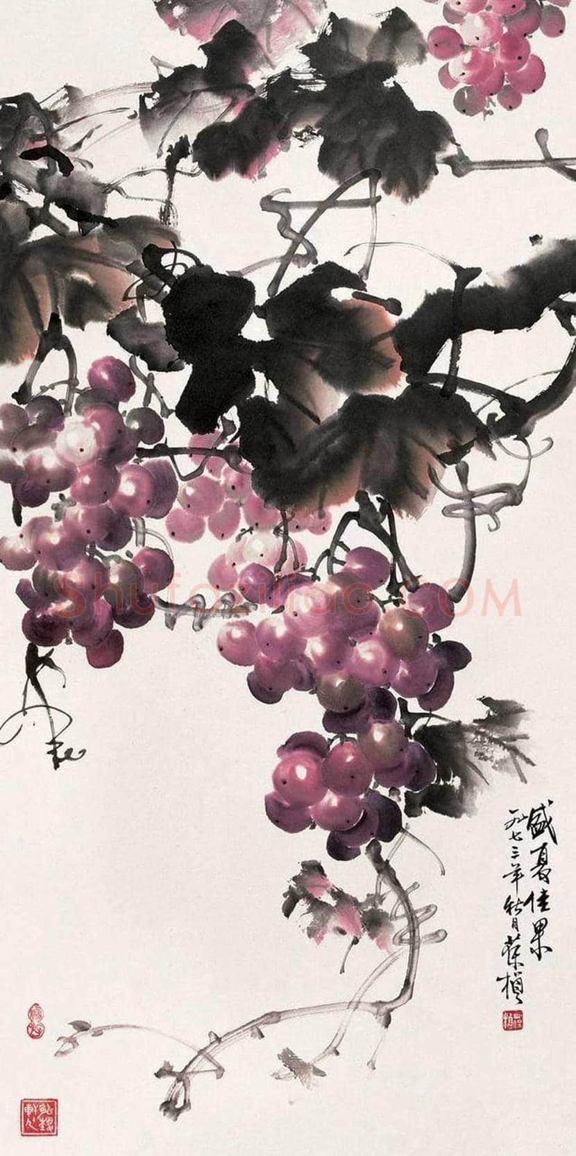 苏葆桢国画葡萄欣赏 | 书画知识