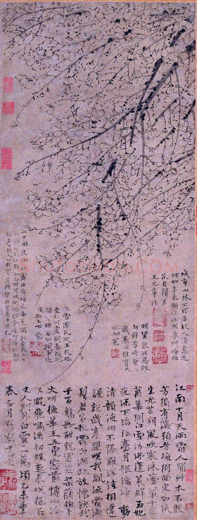 王冕《墨梅图》欣赏 | 书画讲解
