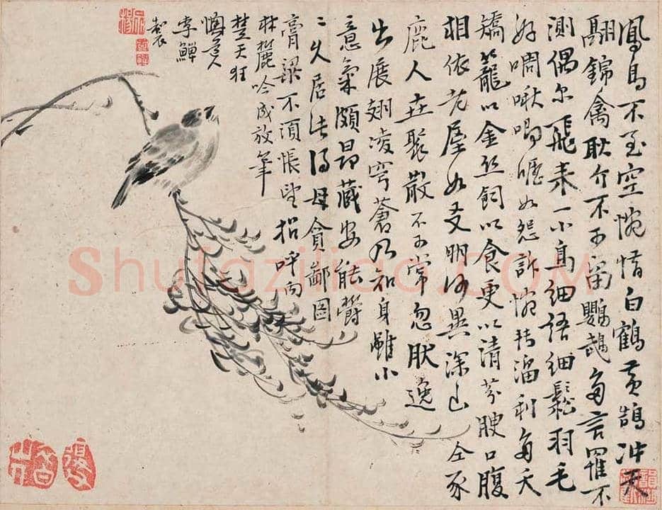 李鱓花鸟册页欣赏 | 书画讲解