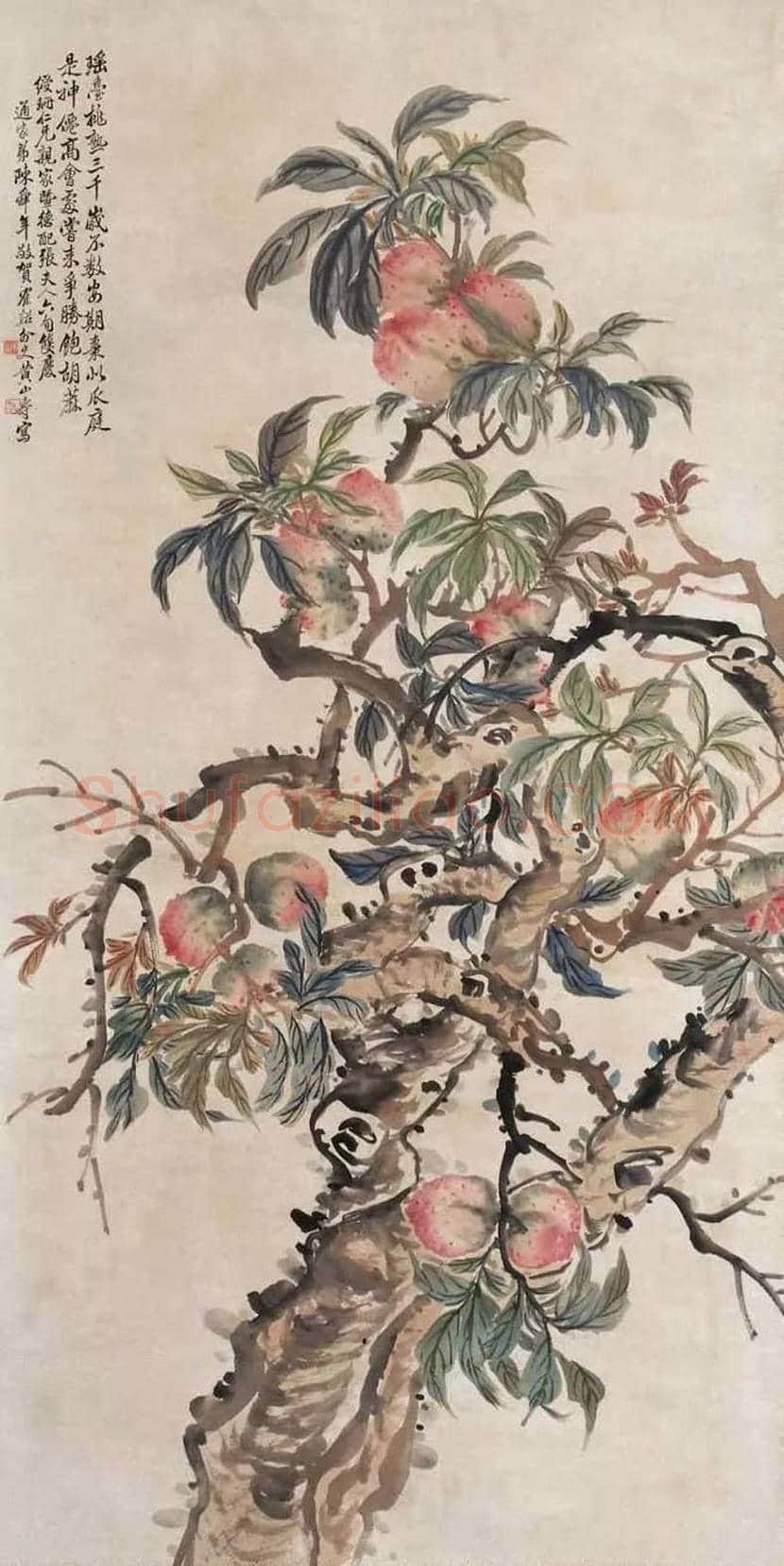 黄山寿花鸟画作欣赏 | 书画百科