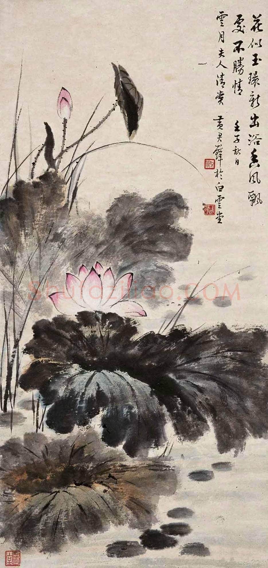 黄君璧荷花作品欣赏 | 书画知识