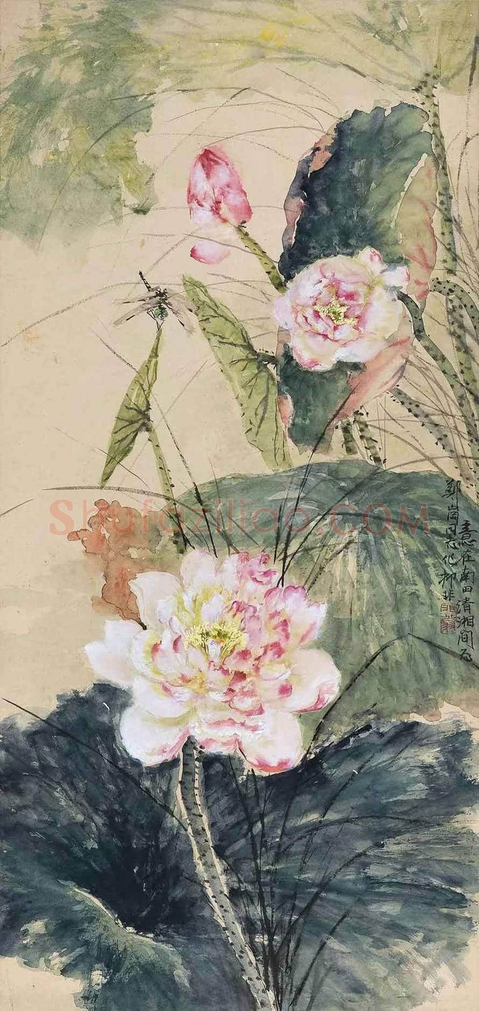 陆抑非荷花作品欣赏 | 书画文摘