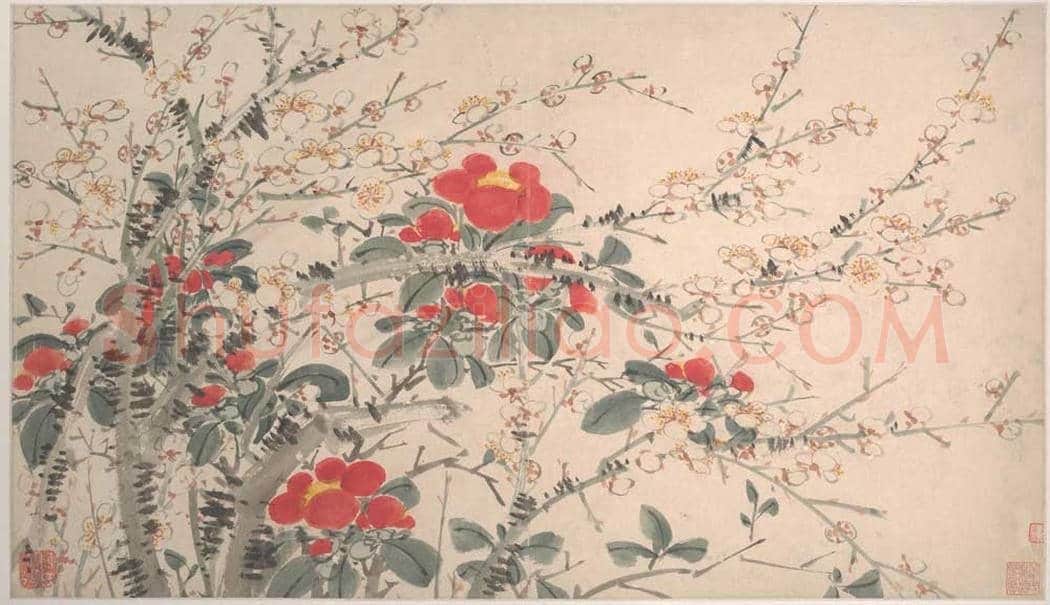 陈淳《花卉图》高清大图欣赏 | 书画常识