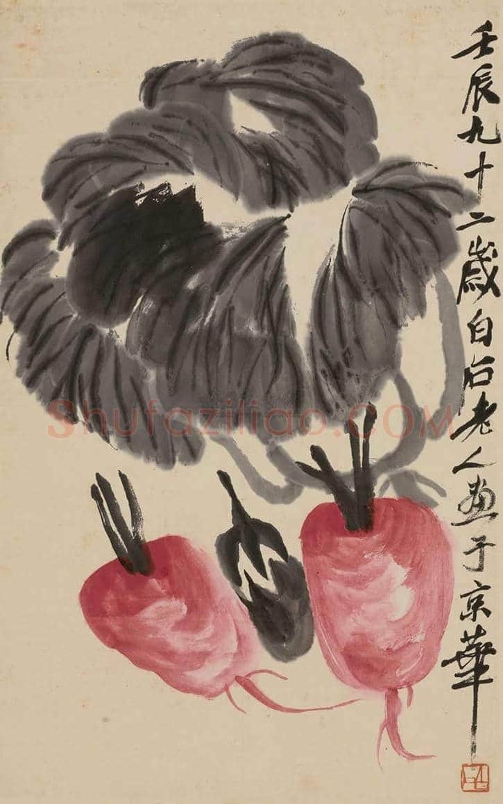 齐白石画白菜,百财聚来 | 书画学堂