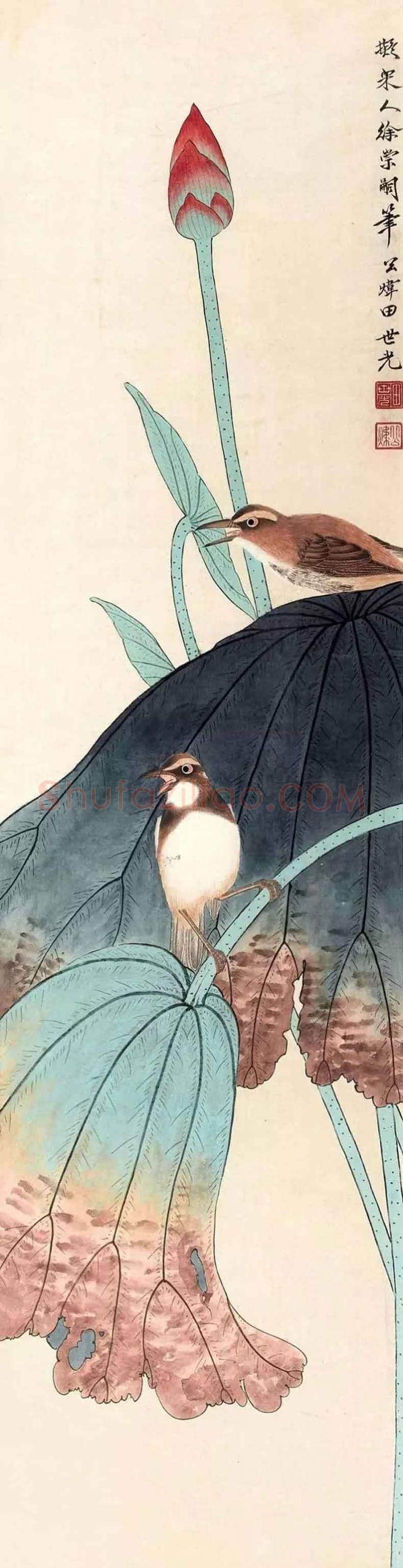 田世光花鸟画作品欣赏 | 书画科普