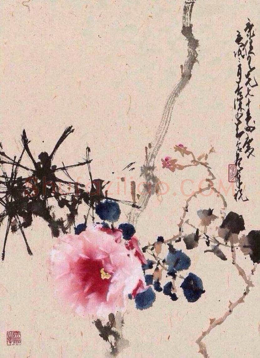 杨善深花鸟画作品欣赏 | 书画讲解